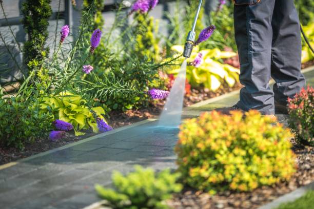 Best Driveway Pressure Washing  in Topaz Ranch Estates, NV