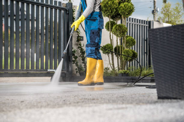Best Patio and Deck Pressure Washing  in Topaz Ranch Estates, NV